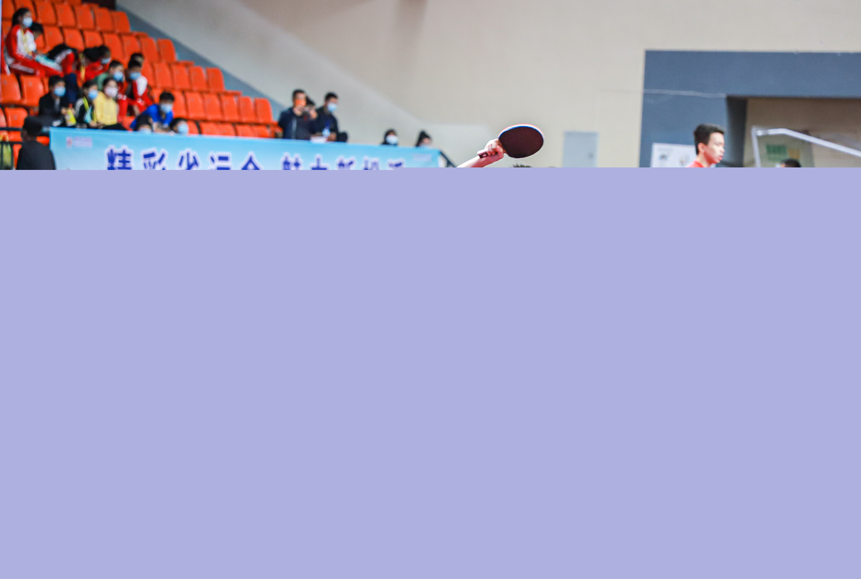 有目共睹 有目共睹